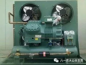 報考八一農大的十大選擇之二 你是王者,也是榮耀